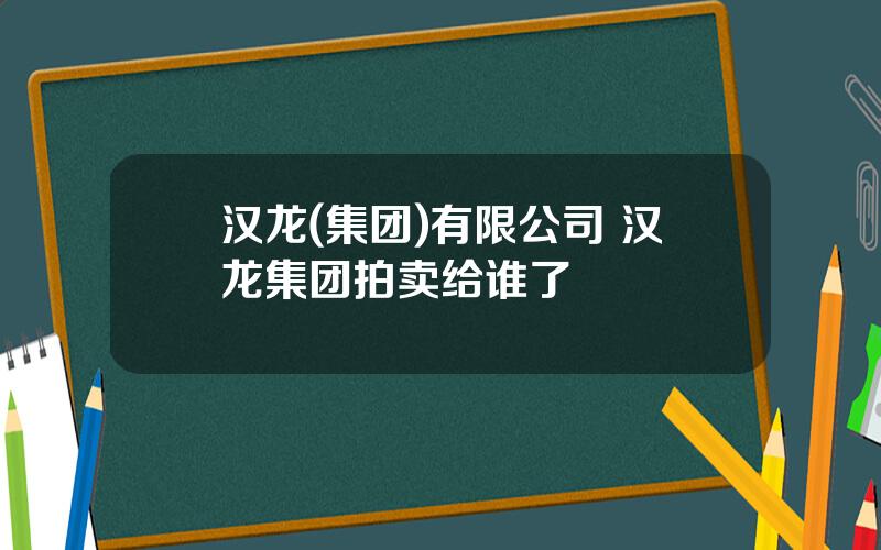 汉龙(集团)有限公司 汉龙集团拍卖给谁了